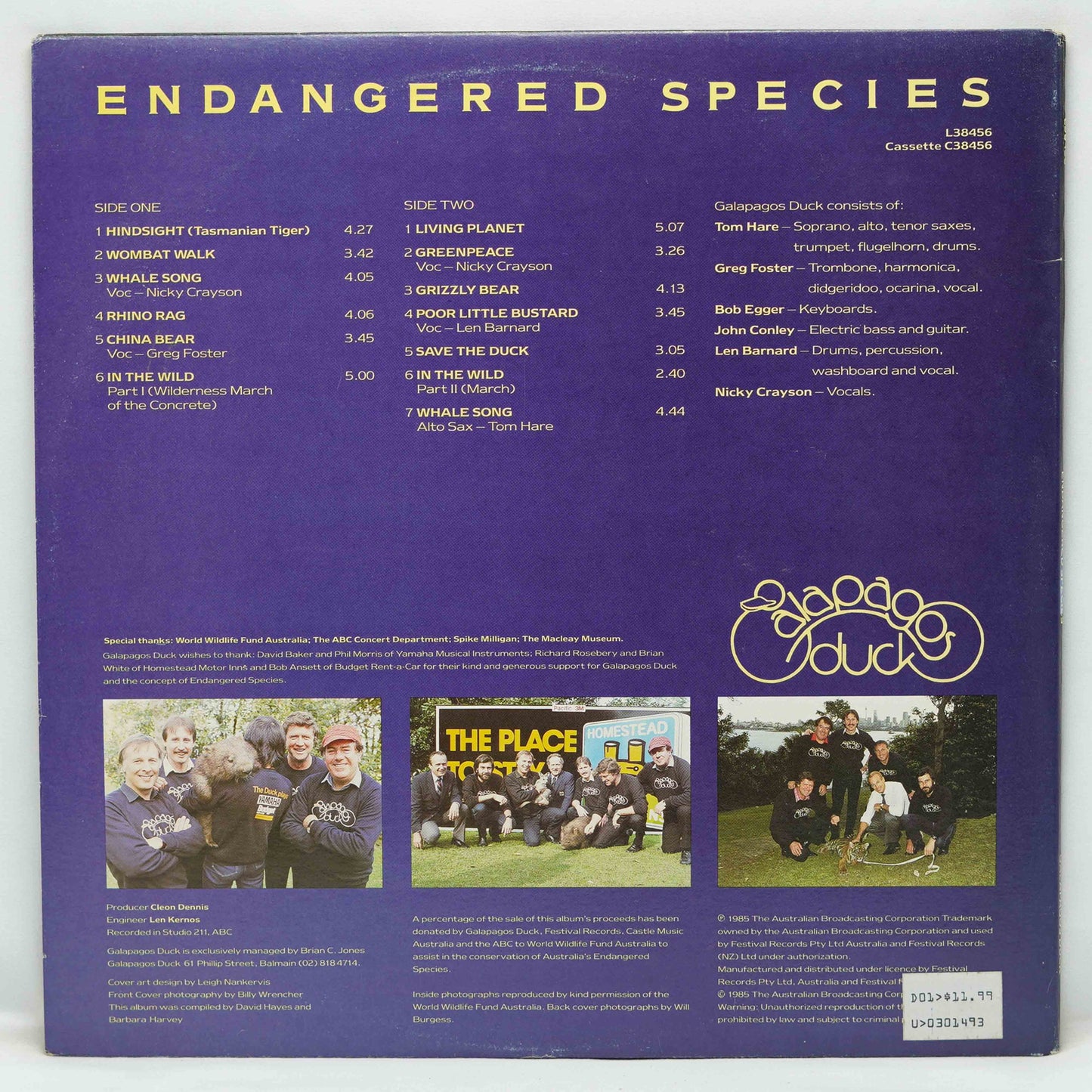 Galapagos Duck – Endangered Species