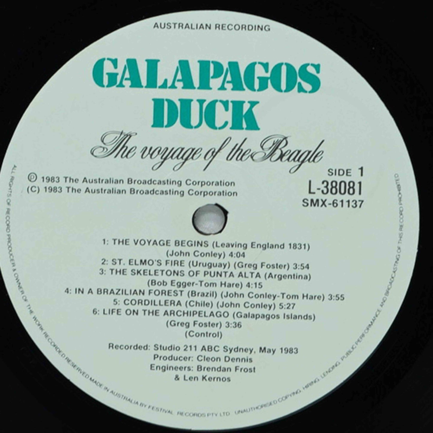 Galapagos Duck – The Voyage Of The Beagle