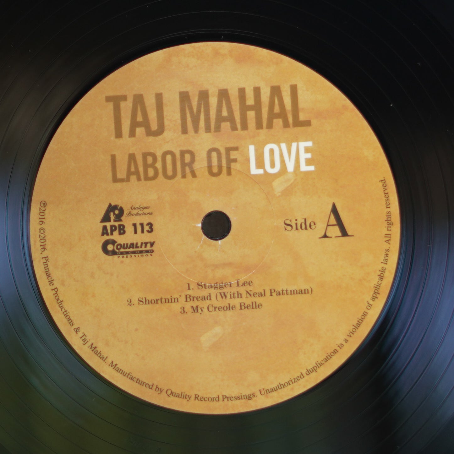Taj Mahal – Labor of Love