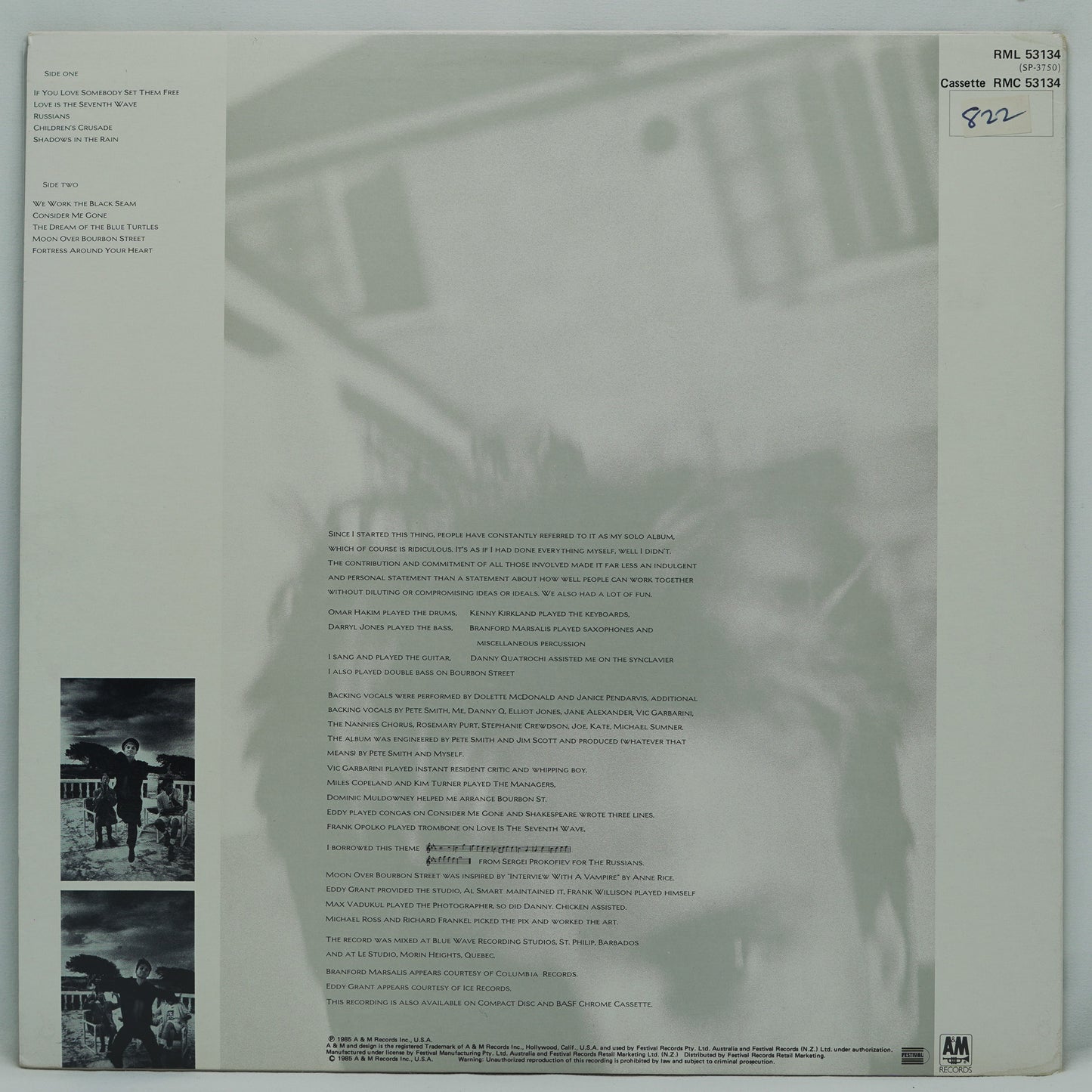 Sting – The Dream Of The Blue Turtles