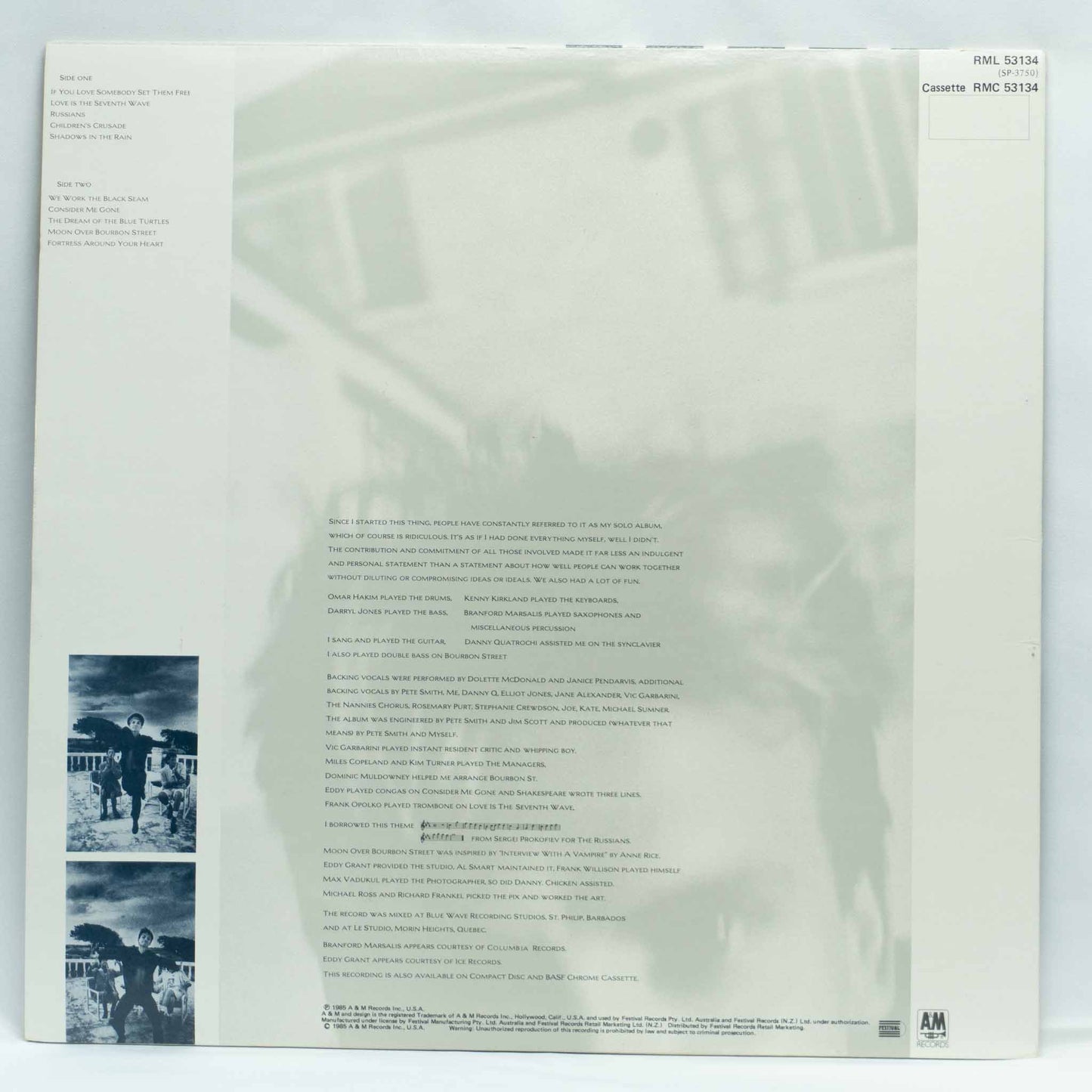 Sting – The Dream Of The Blue Turtles