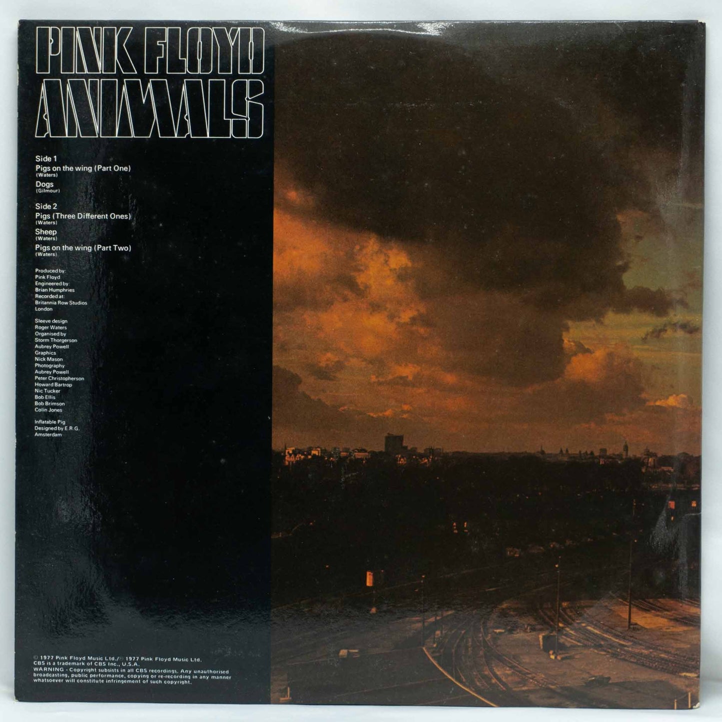 Pink Floyd – Animals