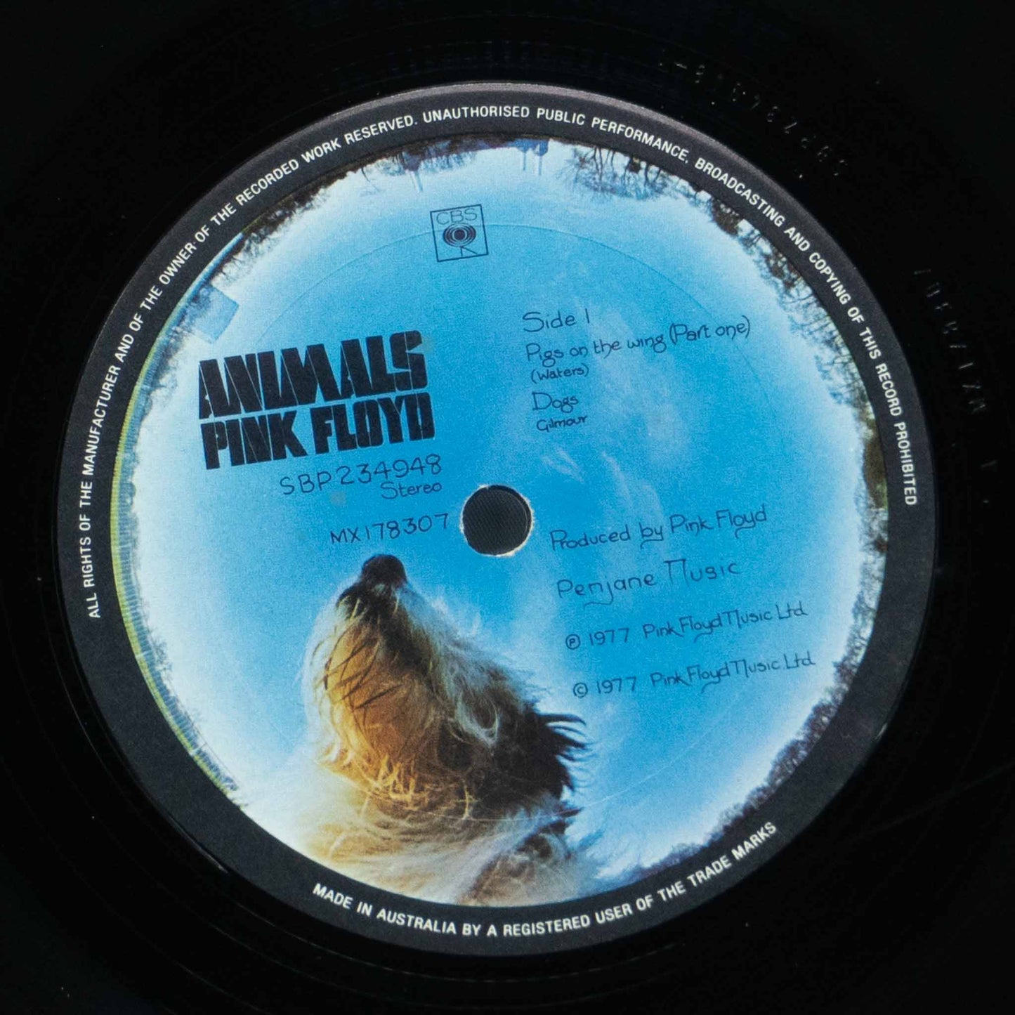 Pink Floyd – Animals