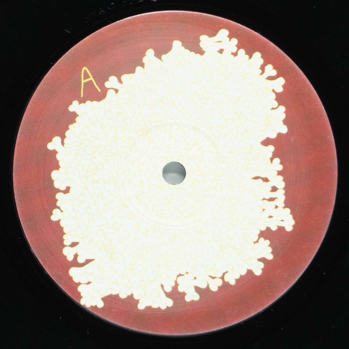 Animal Collective – Sung Tongs