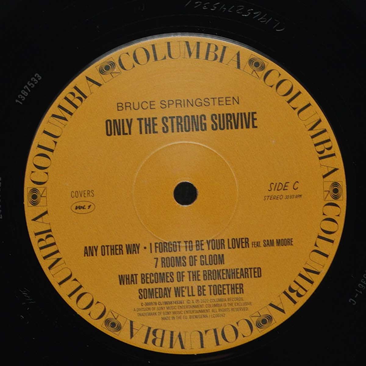 Springsteen- Only The Strong Survive (Covers Vol. 1)
