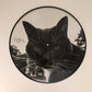 Rex Orange County : Bcos U Will Never B Free (12", Album, Ltd, Pic)