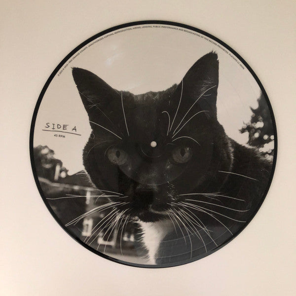 Rex Orange County : Bcos U Will Never B Free (12", Album, Ltd, Pic)