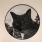 Rex Orange County : Bcos U Will Never B Free (12", Album, Ltd, Pic)