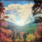 Tame Impala : Innerspeaker (2010 ➝ 2020) (4xLP, Album, RE, S/Edition, 10  + Box)