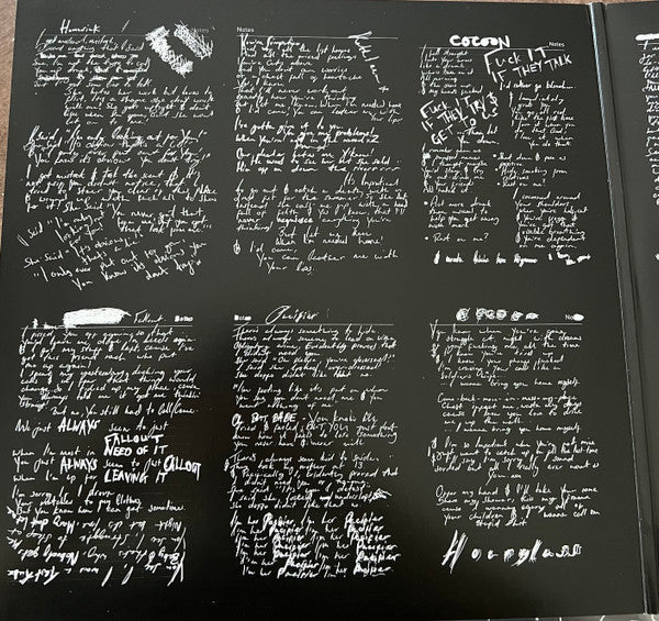 Catfish And The Bottlemen : The Balcony (LP)