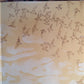 Dawes (2) : North Hills (2xLP, Album)