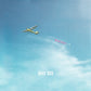 Deer Tick : Negativity (2xLP, Album)