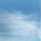Deer Tick : Negativity (2xLP, Album)