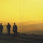 Arctic Monkeys : Suck It And See (LP, Album, 180)