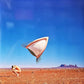 The Cranberries : Bury The Hatchet (2xLP, Album, RSD, Ltd, RE, RM)
