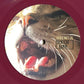 Daily Toll : A Profound Non-Event (LP, Album, Ltd, Red)