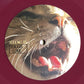 Daily Toll : A Profound Non-Event (LP, Album, Ltd, Red)