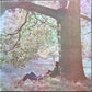 John Lennon & Plastic Ono Band* : John Lennon / Plastic Ono Band (LP, Album)