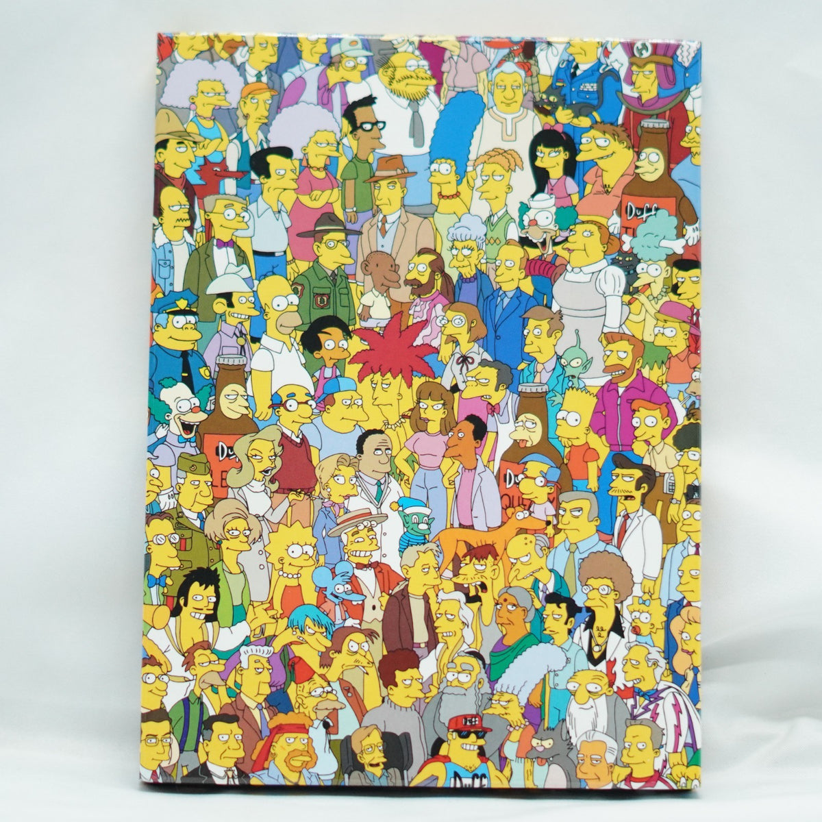 Simpsons, The : Season 20 (Box Set, DVD, 2008)