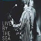 Oasis-Live by the Sea (DVD, 1995)VGC. Free Shipping Reg4