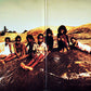 Midnight Oil : Diesel And Dust (LP, Album, Gat)