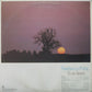 Fleetwood Mac : Bare Trees (LP, Album)
