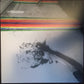 Pond (5) : Hobo Rocket (LP, Album, RE)