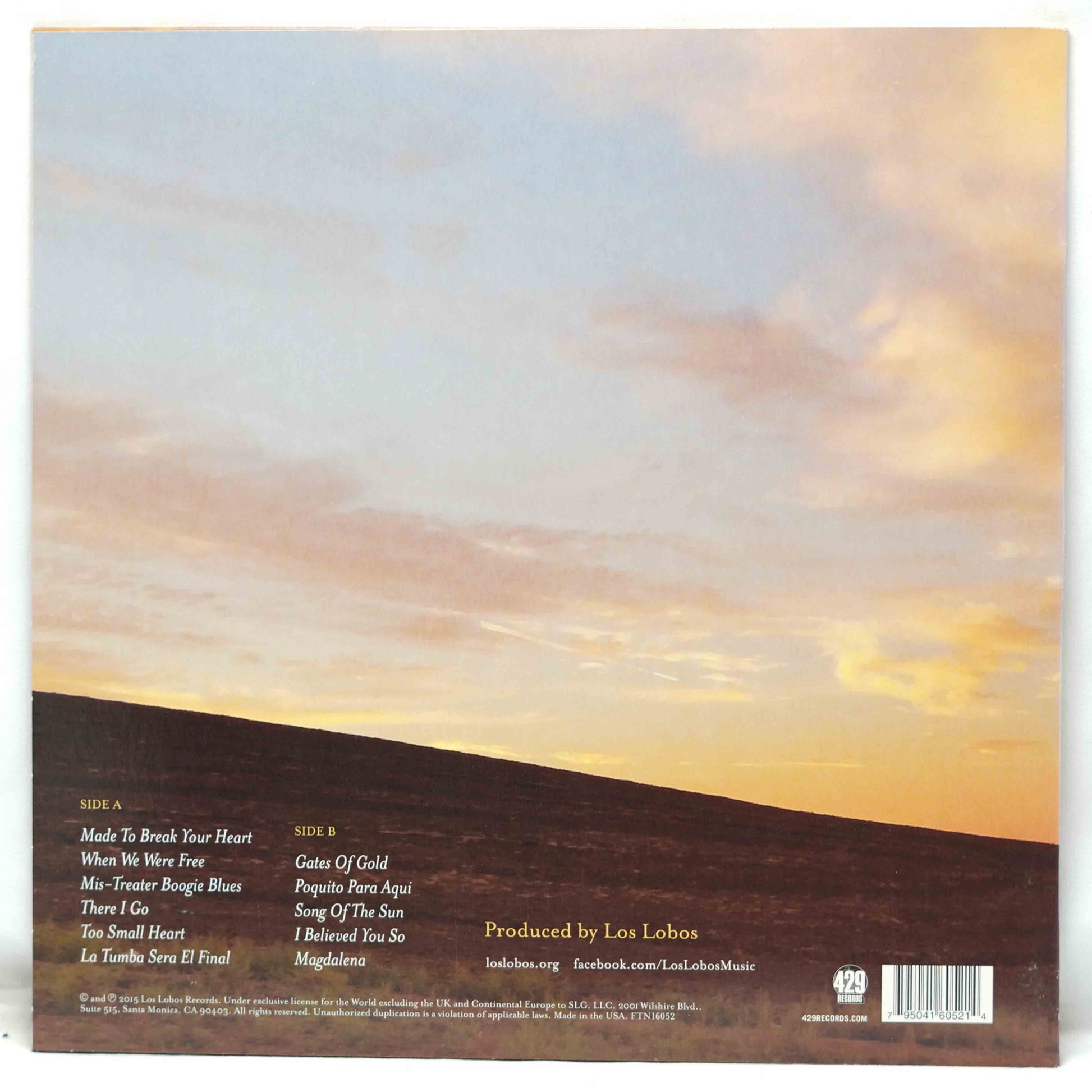 Vinyl record sleeve with sunset design and tracklist on a white background