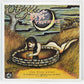 Drive-By Truckers ‎– The Fine Print (A Collection Of Oddities And Rarities) 2003-2008