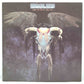 Eagles – One Of These Nights