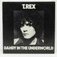 T. Rex – Dandy In The Underworld