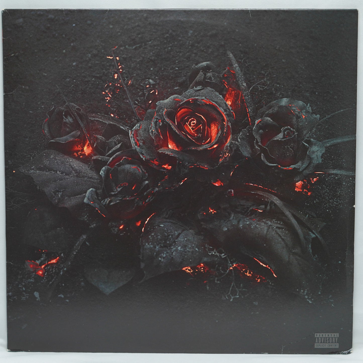 Future – Evol