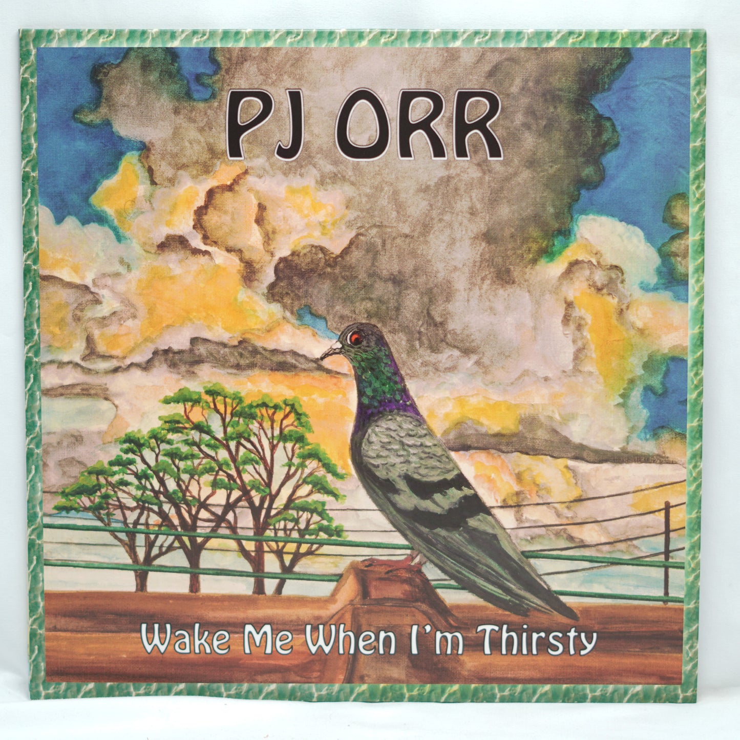 PJ Orr - Wake Me When I'm Thirsty