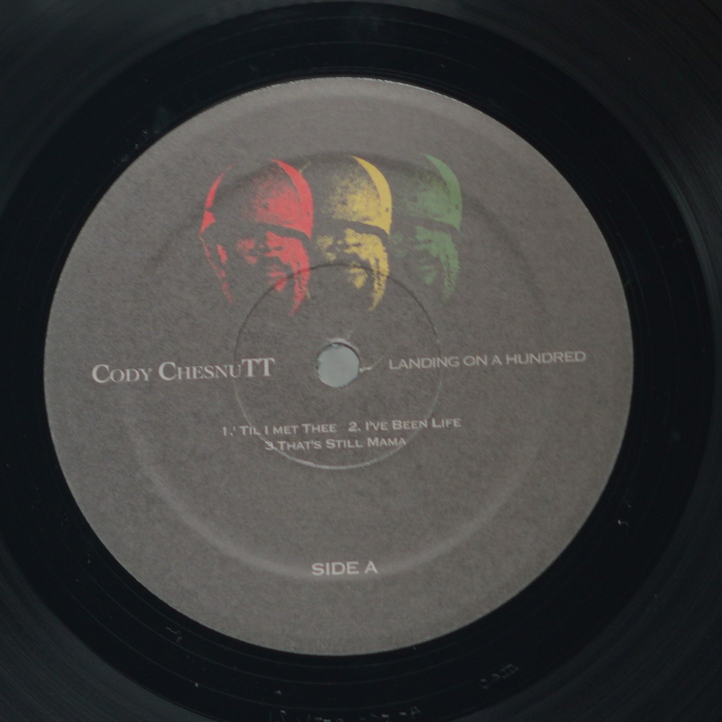 Cody ChesnuTT ‎– Landing On A Hundred