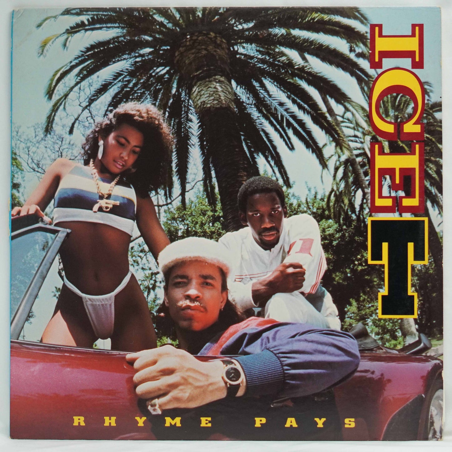 Ice-T ‎– Rhyme Pays