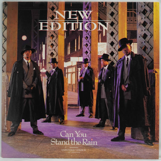 New Edition ‎– Can You Stand The Rain (Extended Version)