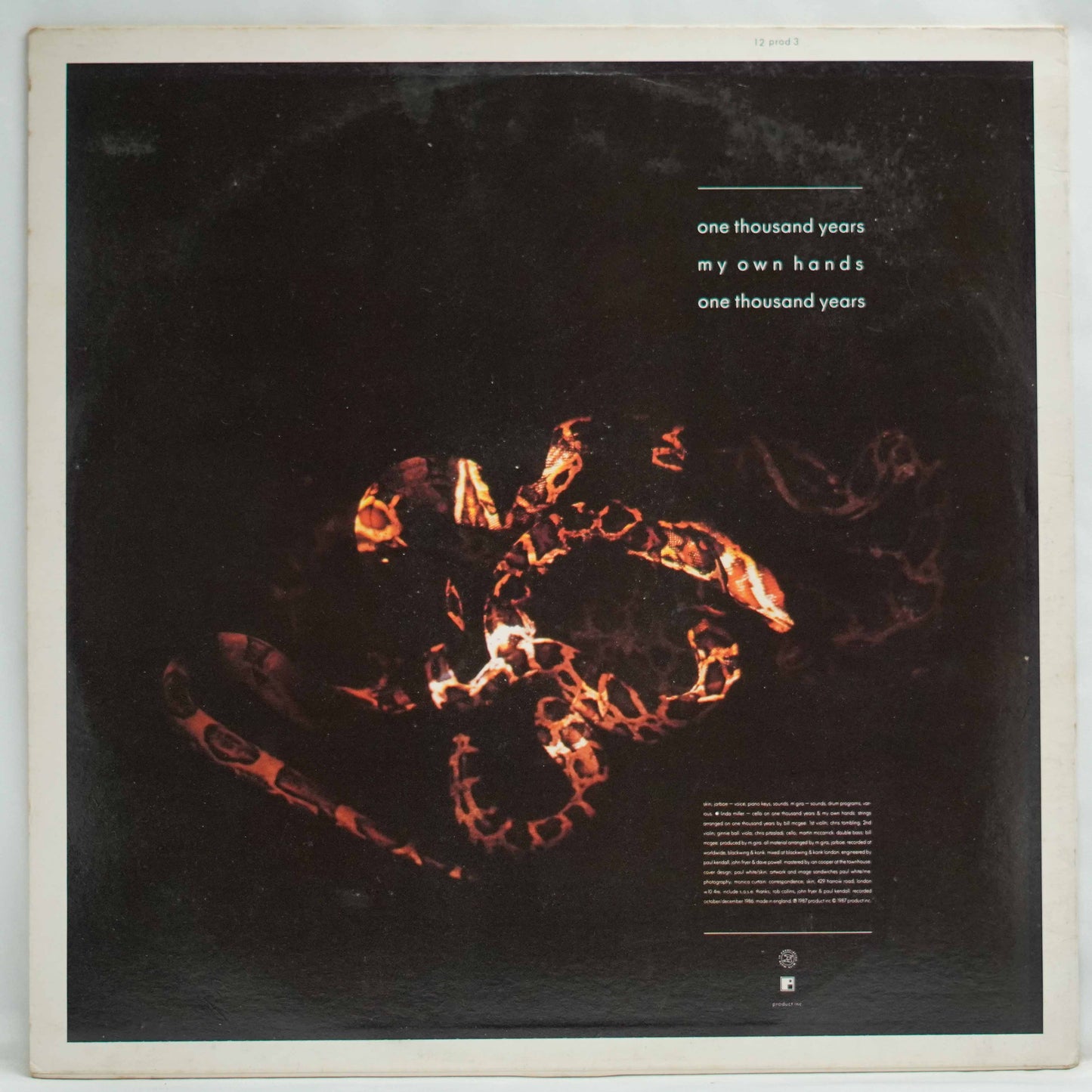 Skin ‎– One Thousand Years
