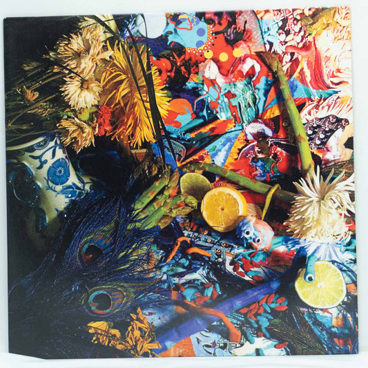 Animal Collective – Summertime Clothes