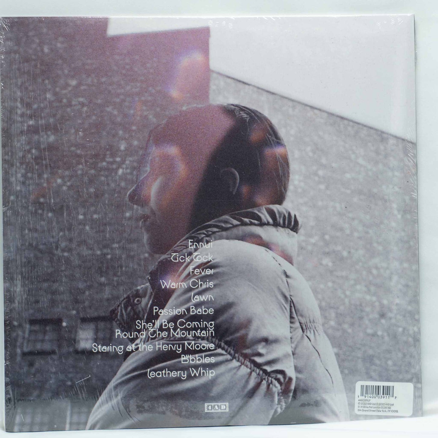 Aldous Harding – Warm Chris