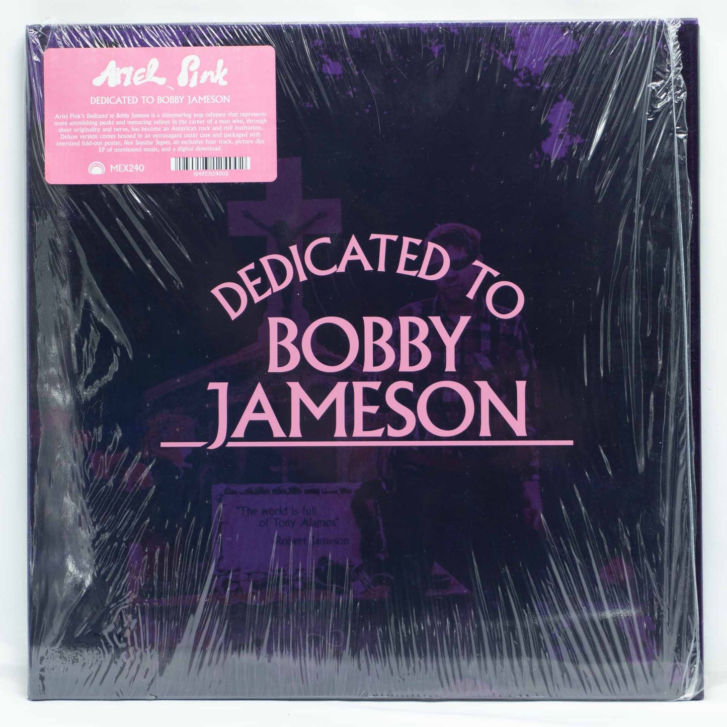 Ariel Pink – Dedicated To Bobby Jameson