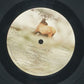 L.A. Express – Shadow Play
