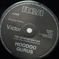 Hoodoo Gurus ‎– The Generation Gap