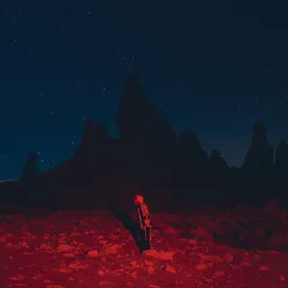 Phoebe Bridgers – Punisher