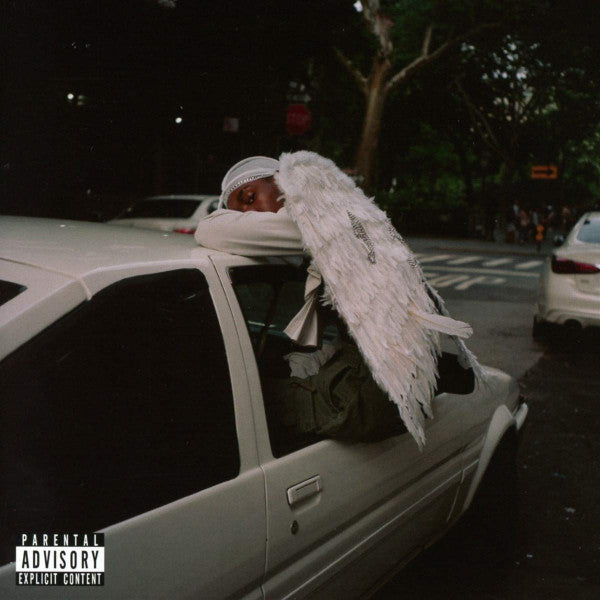 Blood Orange – Negro Swan
