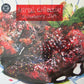 Animal Collective – Strawberry Jam