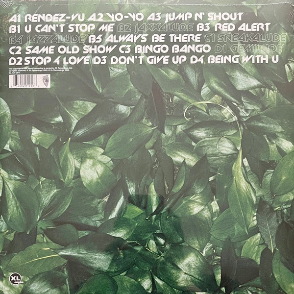 Basement Jaxx – Remedy