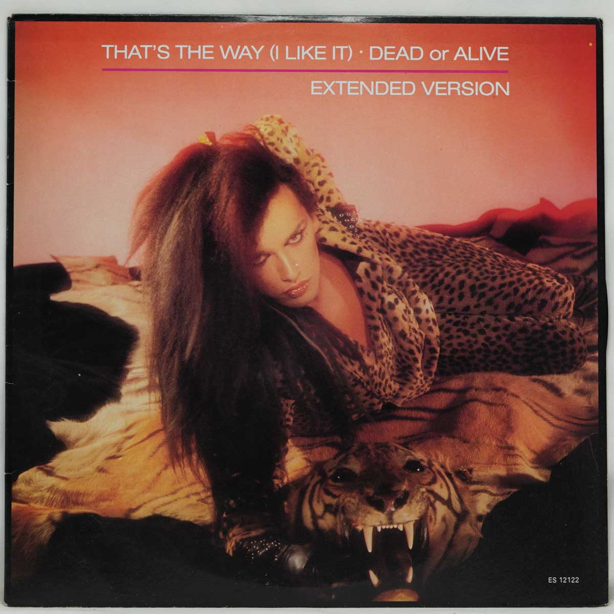 Dead Or Alive – That's The Way (I Like It) (Extended Version)
