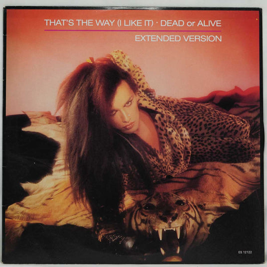 Dead Or Alive – That's The Way (I Like It) (Extended Version)